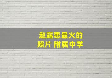 赵露思最火的照片 附属中学